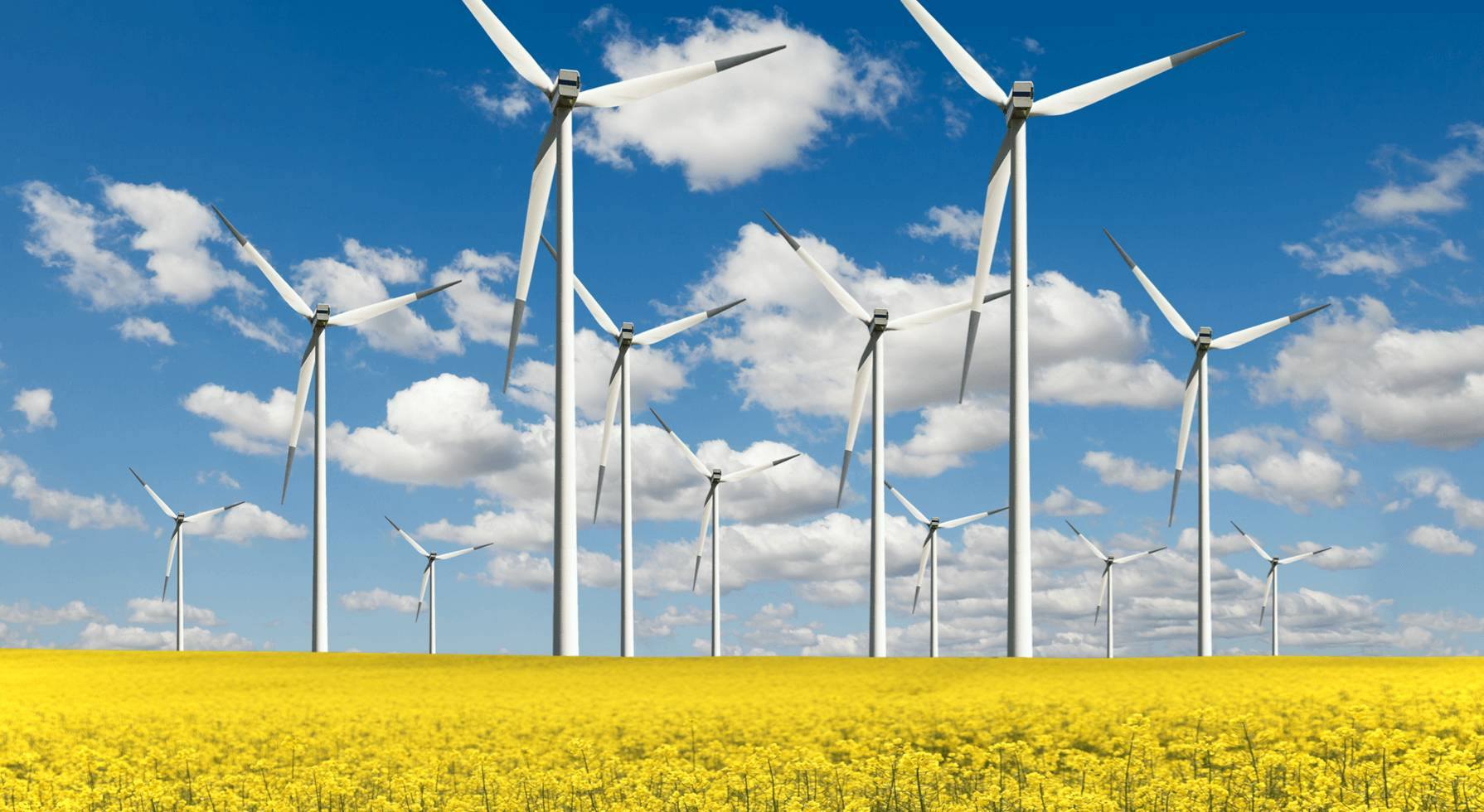 Sustainable Finance Supporting the Sustainable Development Goals